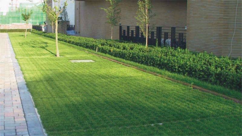 植草地坪 植草地坪