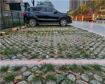 四川高承載植草混凝土